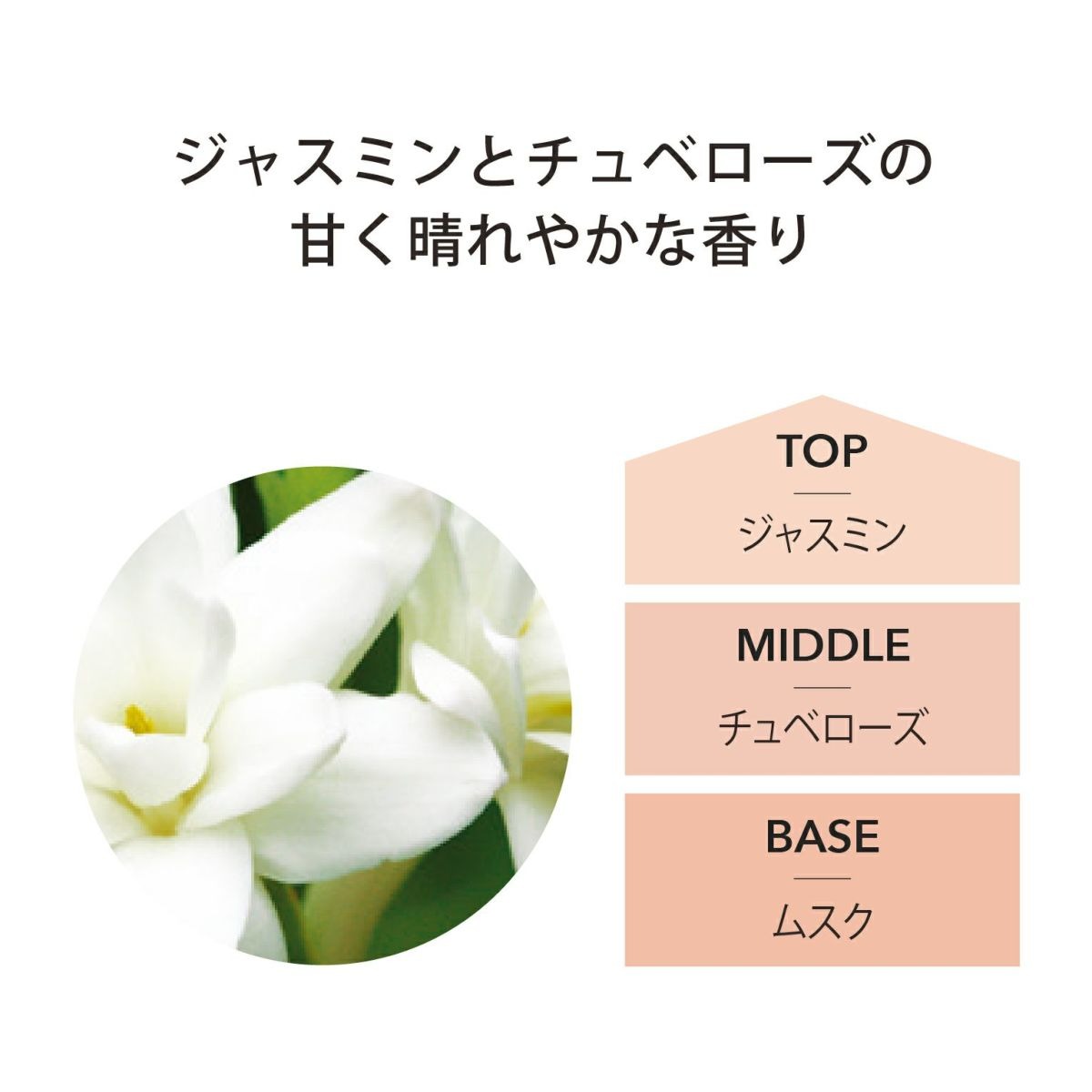 アシュレイ&バーウッド Ashleigh & Burwood フレグランスランプ用オイル ジャスミン&チュベローズ 500ml