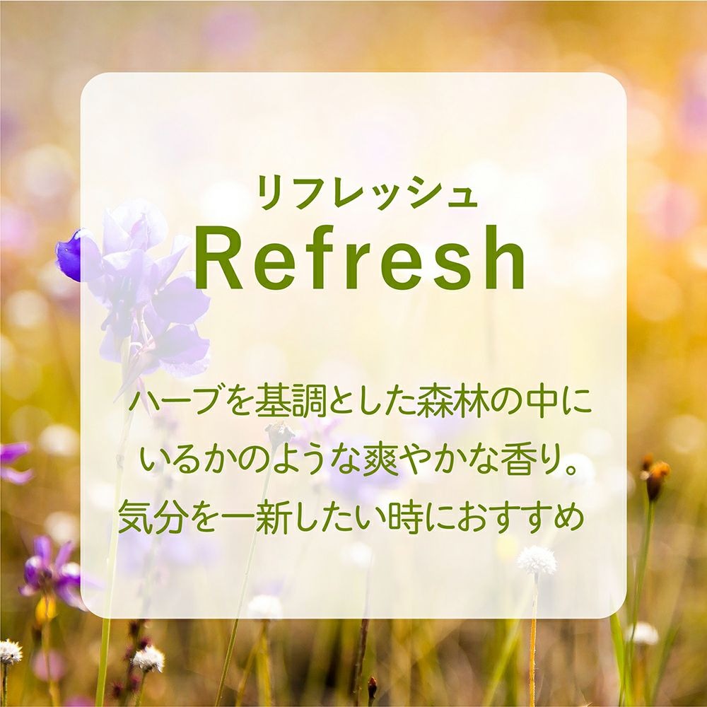 アシュレイ&バーウッド Ashleigh & Burwood フレグランスランプ用オイル リラクゼーション