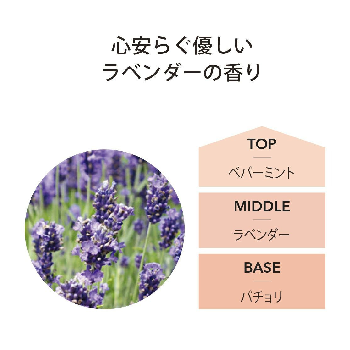 アシュレイ&バーウッド Ashleigh & Burwood フレグランスランプ用オイル ラベンダー