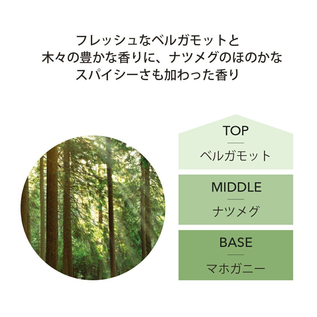 アシュレイ&バーウッド Ashleigh & Burwood フレグランスランプ用オイル ホワイトシダー＆ベルガモット