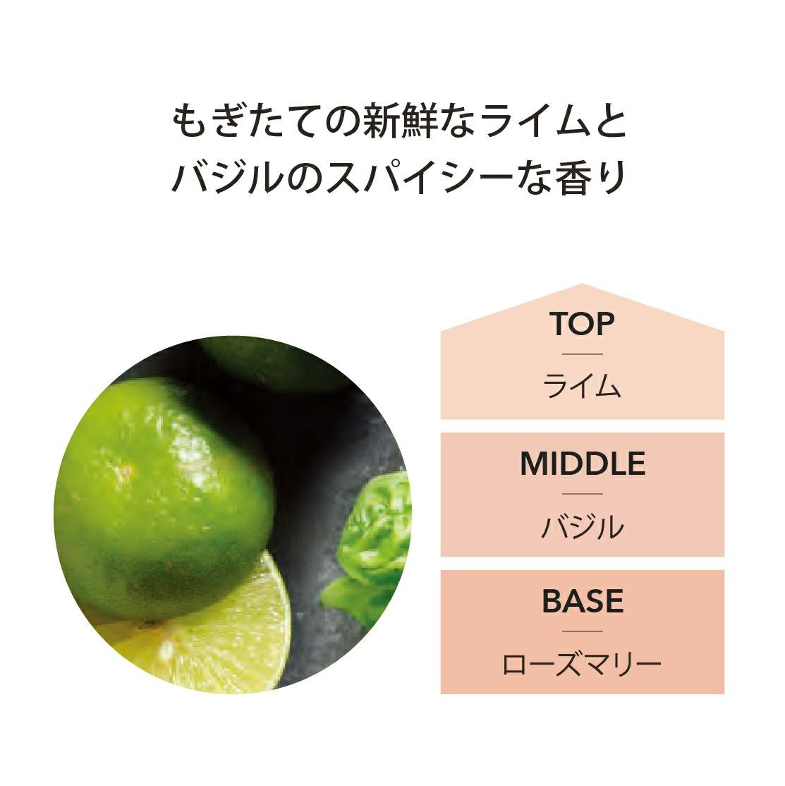 アシュレイ&バーウッド Ashleigh & Burwood フレグランスランプ用オイル ライム＆バジル
