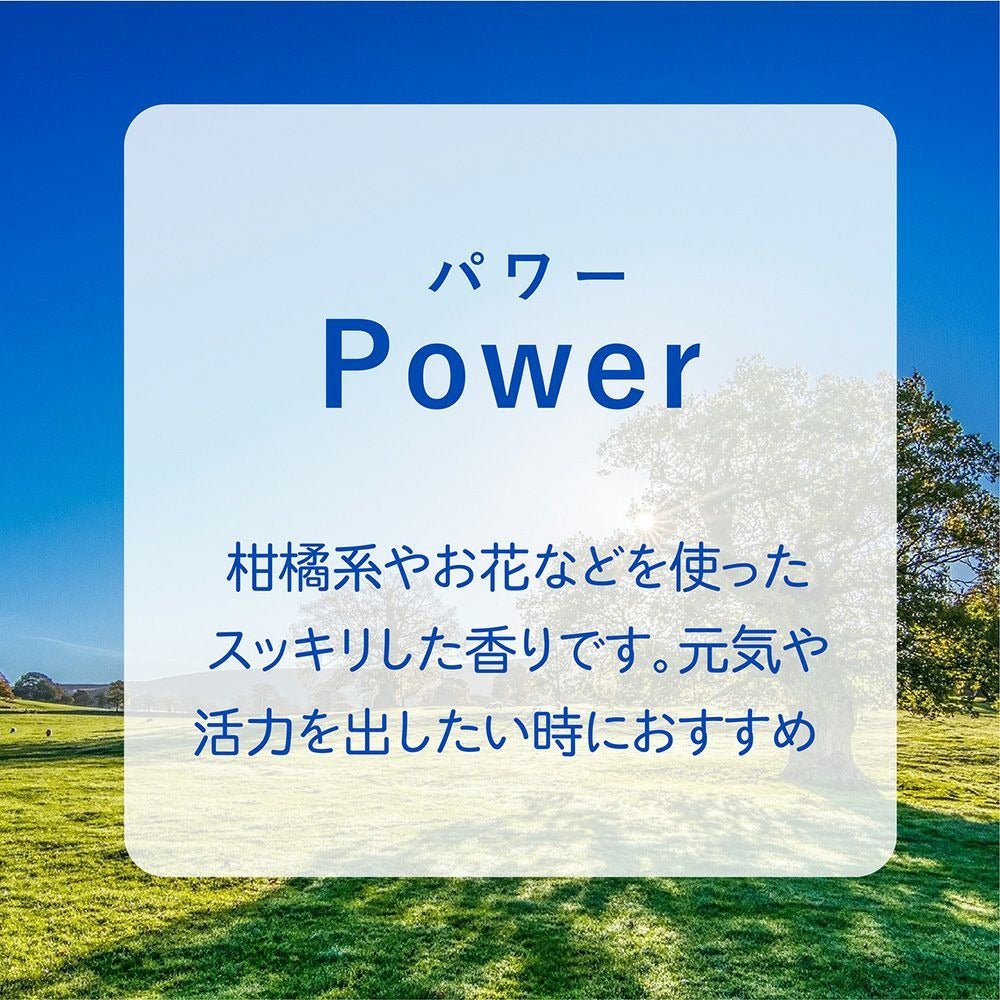 アシュレイ&バーウッド Ashleigh & Burwood フレグランスランプ用オイル ティーローズ