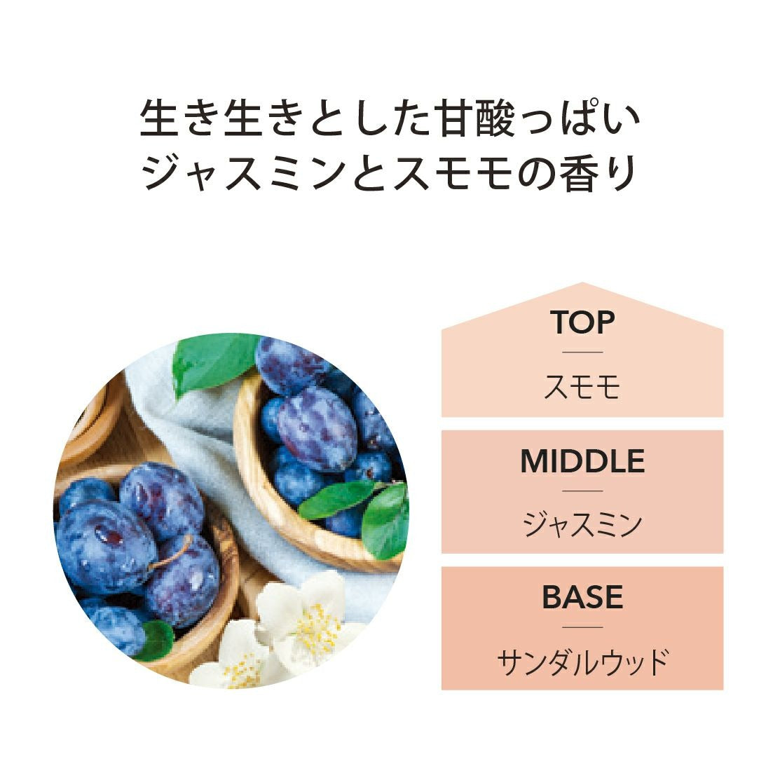 アシュレイ&バーウッド Ashleigh & Burwood フレグランスランプ用オイル ジャスミン＆ダムソン
