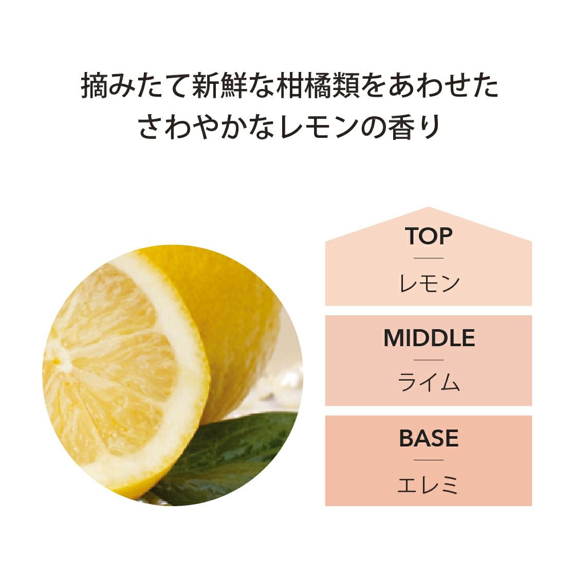 アシュレイ&バーウッド Ashleigh & Burwood フレグランスランプ用オイル シシリアンレモン