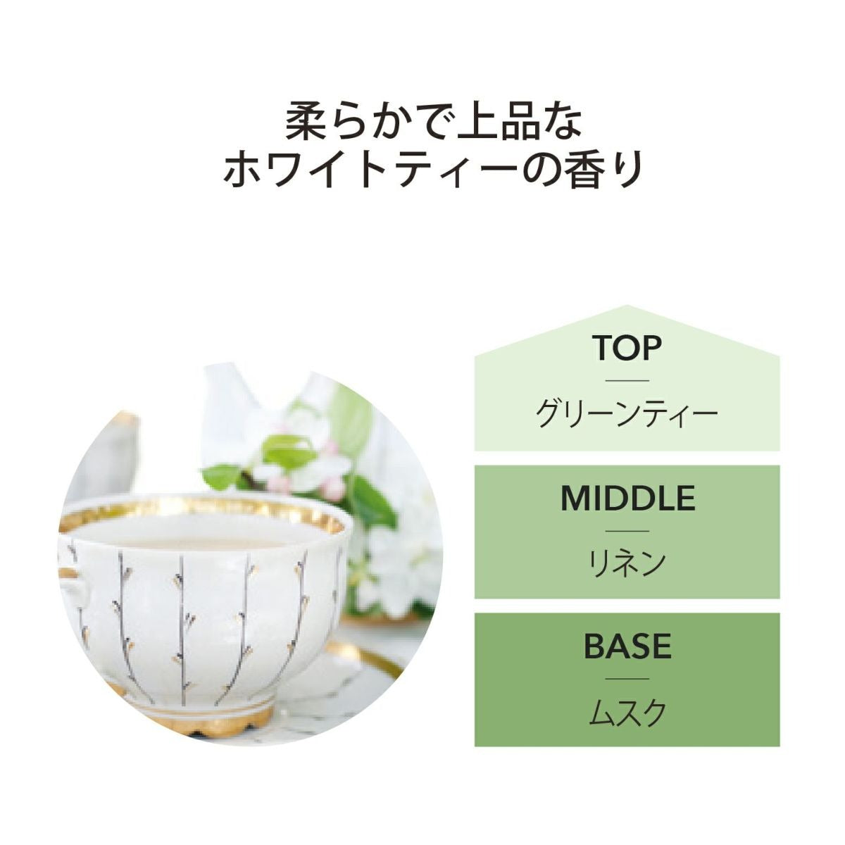 アシュレイ&バーウッド Ashleigh & Burwood フレグランスランプ用オイル ホワイトティー